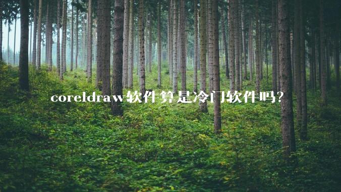 coreldraw软件算是冷门软件吗？